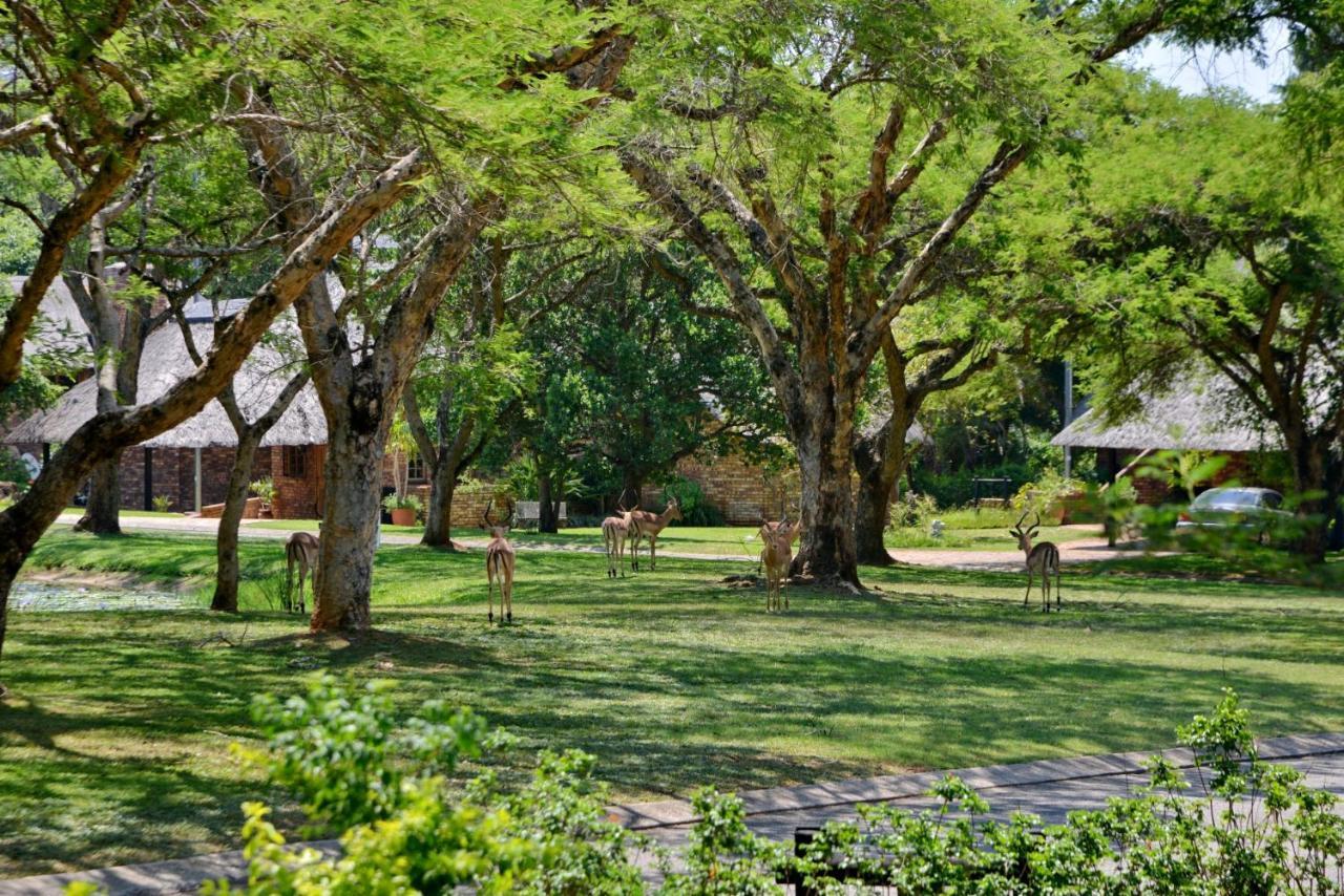 Cambalala - Luxury Units - In Kruger Park Lodge - Serviced Daily, Free Wi-Fi Hazyview Exterior foto